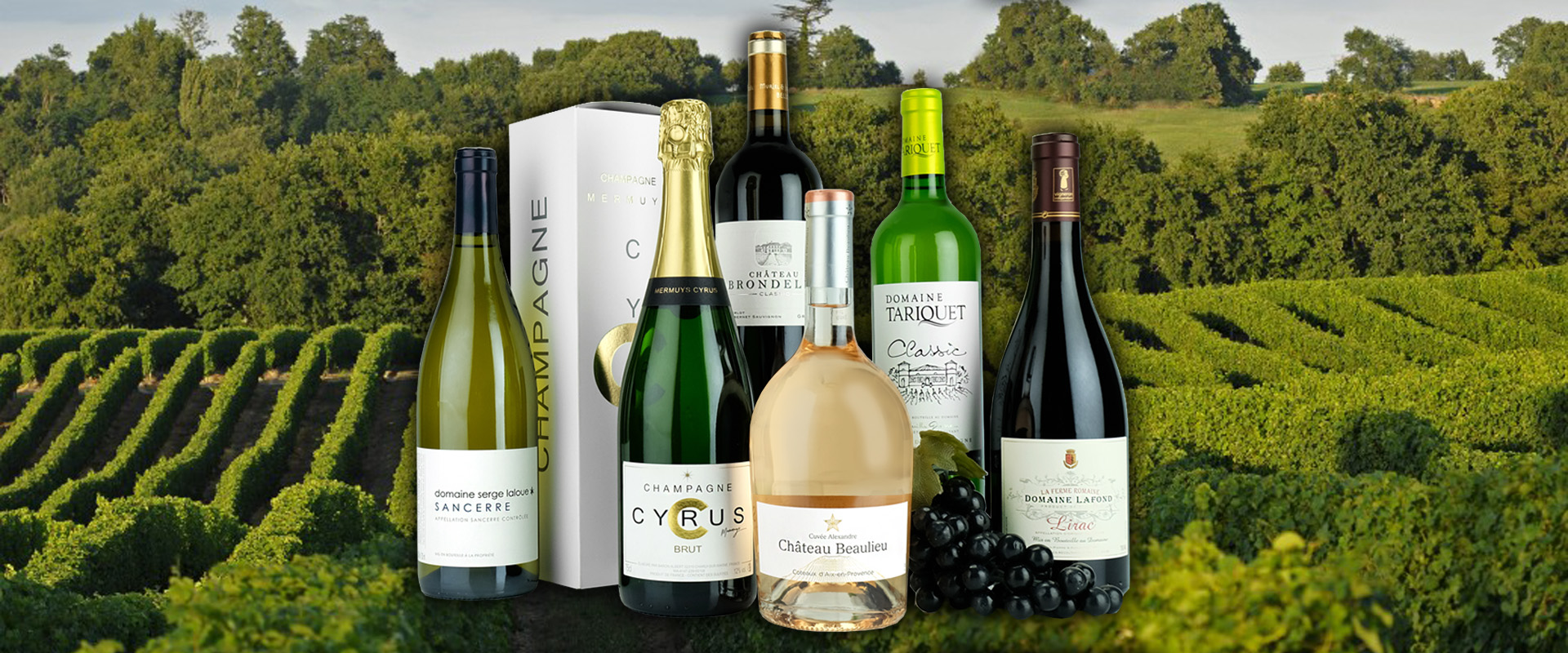 French Wines